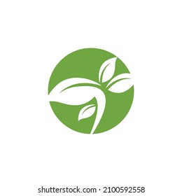 Leaf icon Vector Illustration design Logo template