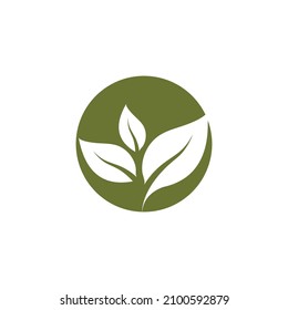 Leaf icon Vector Illustration design Logo template