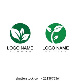 Leaf icon Vector Illustration design Logo template