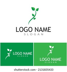Leaf icon Vector Illustration design Logo template