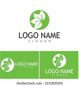 Leaf icon Vector Illustration design Logo template