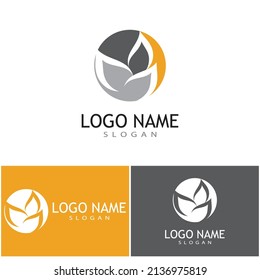 Leaf icon Vector Illustration design Logo template