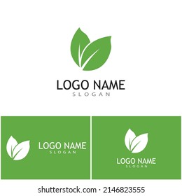 Icono de hoja Vector Ilustración de diseño Modelo de logotipo