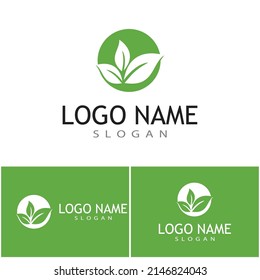 Leaf icon Vector Illustration design Logo template