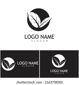 Leaf icon Vector Illustration design Logo template