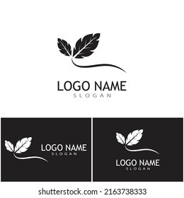 Icono de hoja Vector Ilustración de diseño Modelo de logotipo