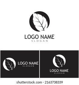 Leaf icon Vector Illustration design Logo template