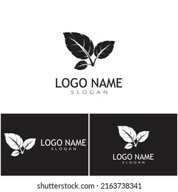 Leaf icon Vector Illustration design Logo template