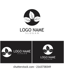 Leaf icon Vector Illustration design Logo template