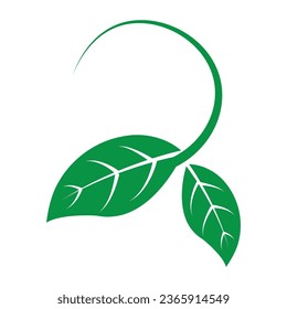 Leaf icon vector illustration design