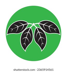 Leaf icon vector illustration design