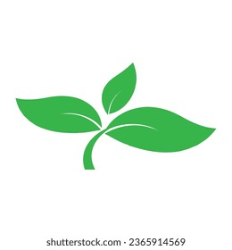 Leaf icon vector illustration design