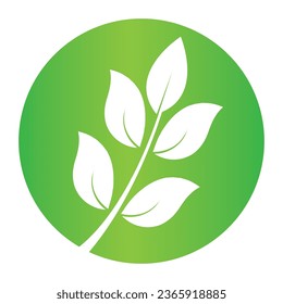 Diseño de ilustración vectorial de icono de hoja