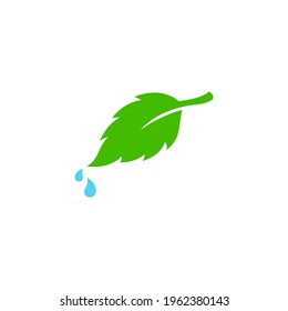 Leaf icon vector illustration. Ecology symbol