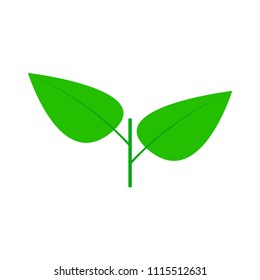 Leaf icon. Vector illustration, eps10