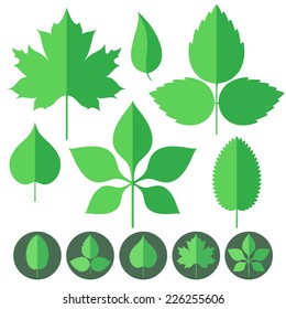 Leaf icon. Vector illustration EPS10. Isolated leaves on white background