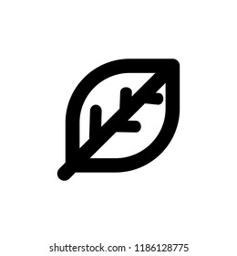 Leaf icon, vector illustration. Flat design style. Vector leaf icon illustration isolated on White background, leaf icon Eps10. leaf icons graphic design vector symbols.