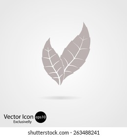 Leaf icon, vector illustration. Flat design style