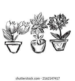 leaf icon vector illustration. Leaf handdraw art design