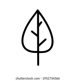 leaf icon vector illustration. handraw leaf design