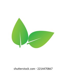 leaf icon vector illustration logo design