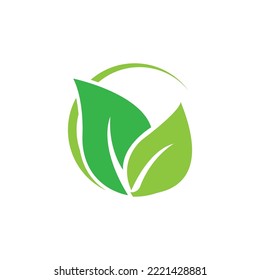 leaf  icon vector illustration logo design