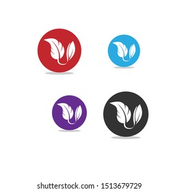 leaf icon vector illustration - logos