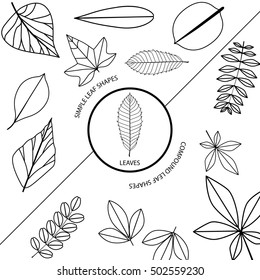 Leaf icon vector illustration nature 