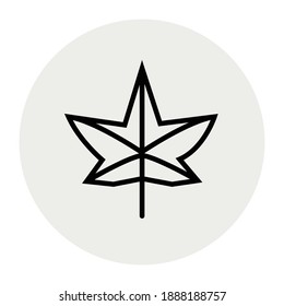 leaf icon vector illustration photo