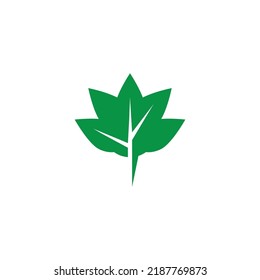 leaf icon  vector illustration symbol design