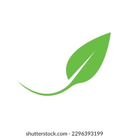 leaf icon vector illustration symbol design