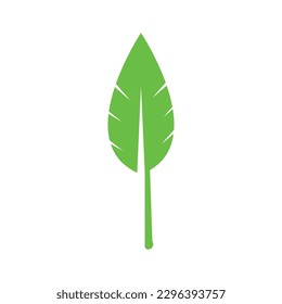 leaf icon vector illustration symbol design