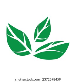 Diseño de símbolo de ilustración vectorial de icono de hoja