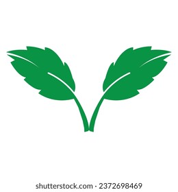 Leaf icon vector illustration symbol design