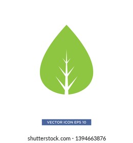 leaf icon vector illustration template