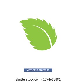 leaf icon vector illustration template
