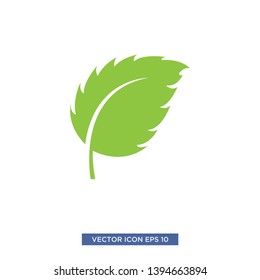 leaf icon vector illustration template