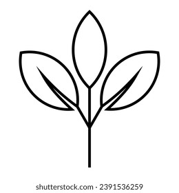 
leaf icon vector illustration white background