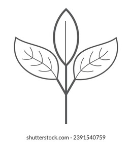 
leaf icon vector illustration white background