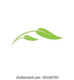 Leaf Icon Vector Illustrations