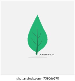 Leaf Icon Vector Illustrations