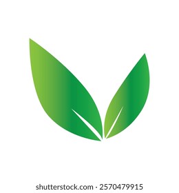 leaf icon vector ilustration desgn templat