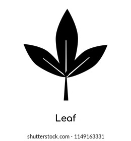 Leaf icon vector isolated on white background for your web and mobile app design, Leaf logo concept