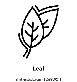 Leaf icon vector isolated on white background, Leaf transparent sign , line or linear sign, element design in outline style