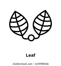 Leaf icon vector isolated on white background, Leaf transparent sign , line or linear sign, element design in outline style
