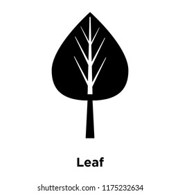 Leaf icon vector isolated on white background, logo concept of Leaf sign on transparent background, filled black symbol