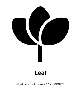 Leaf icon vector isolated on white background, logo concept of Leaf sign on transparent background, filled black symbol