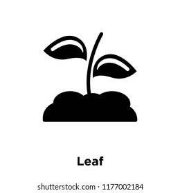Leaf icon vector isolated on white background, logo concept of Leaf sign on transparent background, filled black symbol