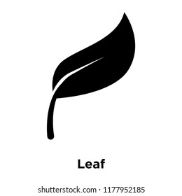Leaf icon vector isolated on white background, logo concept of Leaf sign on transparent background, filled black symbol