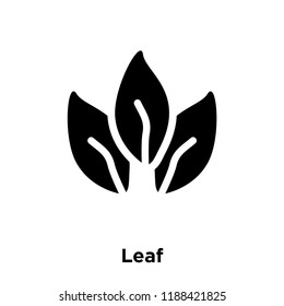 Leaf icon vector isolated on white background, logo concept of Leaf sign on transparent background, filled black symbol